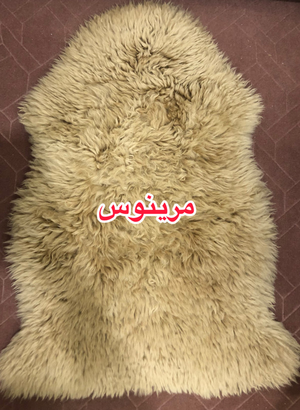 خرید پوست گوسفندی مرینوس - چرم کده پارسه | ارسال فوری